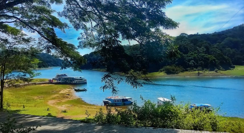 6. Thekkady – The Wildlife Retreat