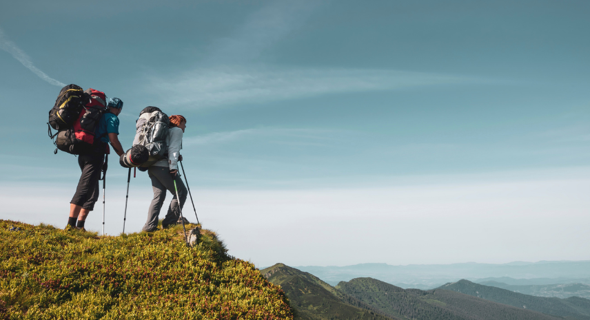 3. Valley of Flowers, Uttarakhand