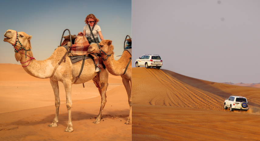 Jaisalmer – The Golden City