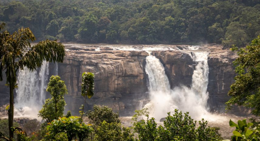 8. Kumarakom – The Birdwatcher’s Paradise