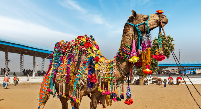 Pushkar – The Sacred City
